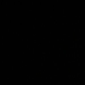 Meet your Posher, Kaitlin